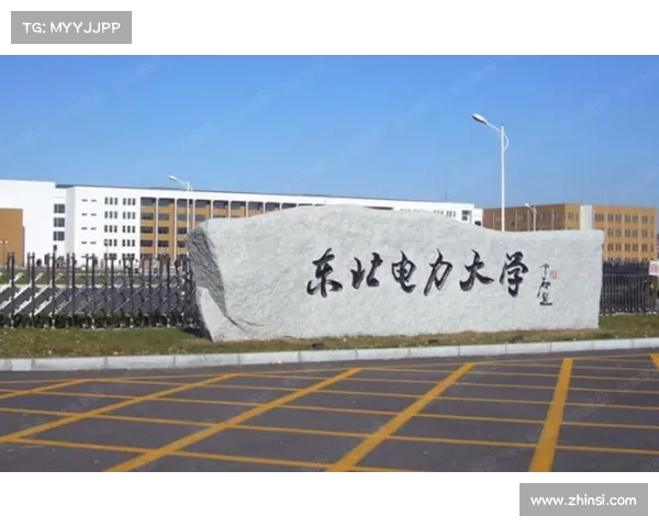 如何高效获取精炼泰拉石及其最佳获取途径与技巧 如何高效获取精炼泰拉石及其最佳获取途径与技巧