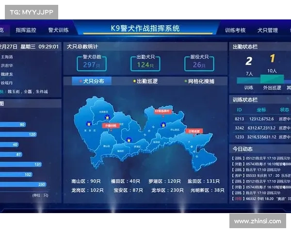 全方位解析提升战斗技巧的实用路径与高效训练策略 全方位解析提升战斗技巧的实用路径与高效训练策略