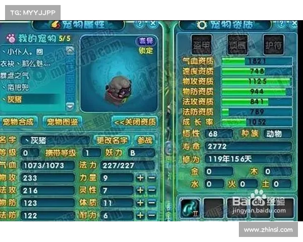 梦幻诛仙宠物加点全方位攻略与实用技巧详解 梦幻诛仙宠物加点全方位攻略与实用技巧详解